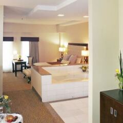 Отель Atheneum Suite Hotel США, Детройт - отзывы, цены и фото номеров - забронировать отель Atheneum Suite Hotel онлайн комната для гостей фото 5