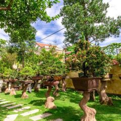 Отель Bonsai Homestay Хойан фото 18