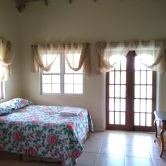 Mill House Guesthouse in Nevis, St. Kitts and Nevis from 157$, photos, reviews - zenhotels.com guestroom photo 3