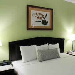 Отель Knutsford Court Hotel Ямайка, Кингстон - отзывы, цены и фото номеров - забронировать отель Knutsford Court Hotel онлайн комната для гостей фото 3