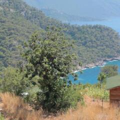 Shiva Camp Турция, Кабак - отзывы, цены и фото номеров - забронировать отель Shiva Camp онлайн