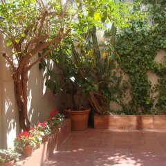 Отель Suitur Courtyard House Испания, Барселона - отзывы, цены и фото номеров - забронировать отель Suitur Courtyard House онлайн
