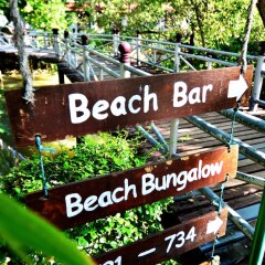Отель First Bungalow Beach Resort Таиланд, Самуи - 6 отзывов об отеле, цены и фото номеров - забронировать отель First Bungalow Beach Resort онлайн фото 12
