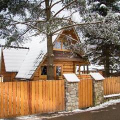 Отель Enklawa Tatry Косцелиско фото 2