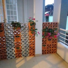Panda's House Hostel Далат развлечения