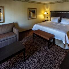 Отель Hampton Inn & Suites Staten Island США, Нью-Йорк - отзывы, цены и фото номеров - забронировать отель Hampton Inn & Suites Staten Island онлайн комната для гостей фото 3