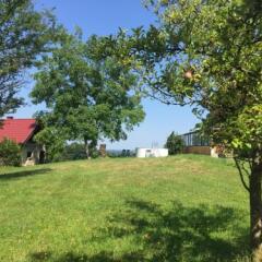 Отель Gasthof Pension David Пух-Халлайн фото 7