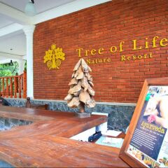 Hotel Tree of Life фитнесс-зал