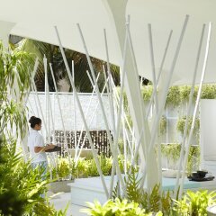 Отель Baraquda Pattaya - MGallery by Sofitel Паттайя с домашними животными