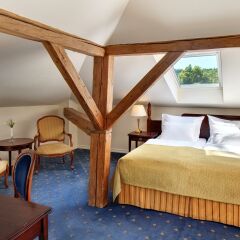 Gourmet Hotel Villa Patriot комната для гостей фото 5