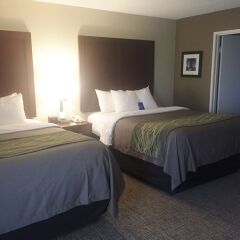 Отель Comfort Inn & Suites Little Rock Airport США, Литл-Рок - отзывы, цены и фото номеров - забронировать отель Comfort Inn & Suites Little Rock Airport онлайн комната для гостей фото 3