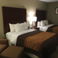 Отель Comfort Inn Airport Блумингтон комната для гостей