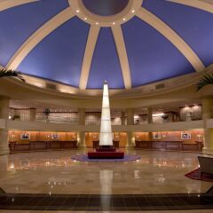 Отель Washington Marriott Wardman Park США, Вашингтон - отзывы, цены и фото номеров - забронировать отель Washington Marriott Wardman Park онлайн бассейн