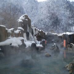 Sounkyo Kanko Hotel Камикава с домашними животными