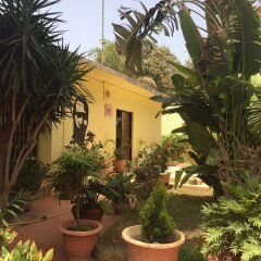 Studio in Tropical Garden in Dakar, Senegal from 94$, photos, reviews - zenhotels.com photo 9