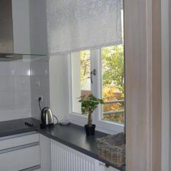 Отель Apartament Wild Rose Польша, Сопот - отзывы, цены и фото номеров - забронировать отель Apartament Wild Rose онлайн фото 3