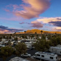 Отель Arizona Charlie's Boulder - Casino Hotel, Suites, & RV Park США, Лас-Вегас - отзывы, цены и фото номеров - забронировать отель Arizona Charlie's Boulder - Casino Hotel, Suites, & RV Park онлайн фото 3