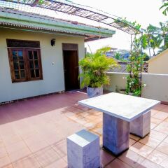 Отель Frangipani Motel Галле фото 8
