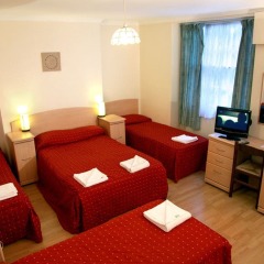 Отель Elmwood Hotel Великобритания, Лондон - отзывы, цены и фото номеров - забронировать отель Elmwood Hotel онлайн комната для гостей фото 2