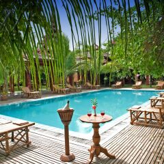 Thazin Garden Hotel с домашними животными
