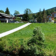 Отель Chalet Grand Loup Нендаз фото 10