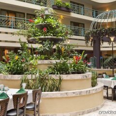 Отель Embassy Suites Minneapolis - Airport Блумингтон питание