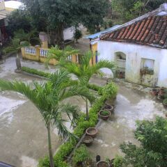 Отель Hoi An Green View Homestay Хойан