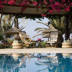 Alion Beach Hotel in Ayia Napa, Cyprus from 211$, photos, reviews - zenhotels.com photo 6