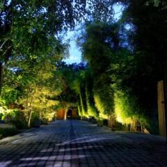 Отель Gregory's Bungalow Yala Шри-Ланка, Катарагама - отзывы, цены и фото номеров - забронировать отель Gregory's Bungalow Yala онлайн фото 3
