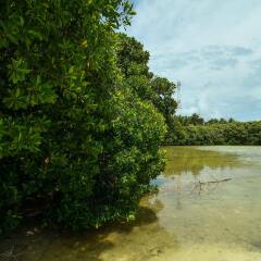 Отель Huraa East Inn фото 2