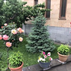 Отель Villa in Nork Армения, Ереван - отзывы, цены и фото номеров - забронировать отель Villa in Nork онлайн фото 11