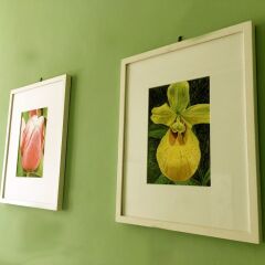 Отель Bed & Breakfast Calisto 6 интерьер отеля фото 3
