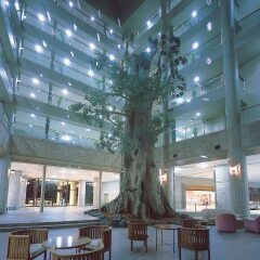 Yakushima Iwasaki Hotel Якусима интерьер отеля фото 2