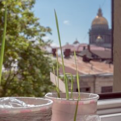 Russian Soul Hostel балкон