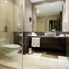 Ramada Plaza Antalya Турция, Анталья - - забронировать отель Ramada Plaza Antalya, цены и фото номеров ванная
