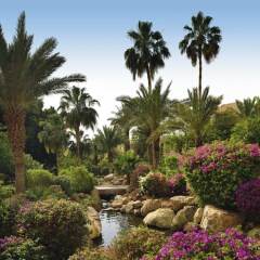 Отель Movenpick Resort & Spa Dead Sea Иордания, Сваймех - 1 отзыв об отеле, цены и фото номеров - забронировать отель Movenpick Resort & Spa Dead Sea онлайн фото 4