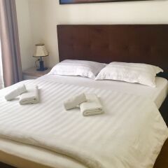 Living Hotel in Tirana, Albania from 86$, photos, reviews - zenhotels.com guestroom photo 4