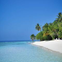 Отель Bandos Maldives Мальдивы, Бандос Айленд - 12 отзывов об отеле, цены и фото номеров - забронировать отель Bandos Maldives онлайн фото 2