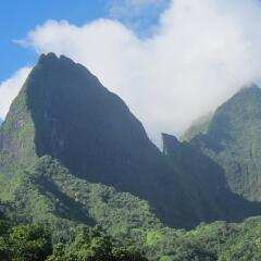 Отель Village Temanoha Французская Полинезия, Папеэте - отзывы, цены и фото номеров - забронировать отель Village Temanoha онлайн фото 2