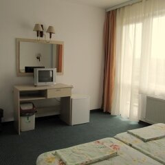 Отель Family Hotel Lipite Болгария, Правец - отзывы, цены и фото номеров - забронировать отель Family Hotel Lipite онлайн удобства в номере фото 2