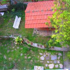 Отель Villa Sofia