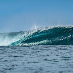 Отель Moorea Surf Bed and Breakfast фото 9