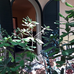 Отель Villa Archegeta Джардини Наксос вид на фасад