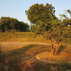 Отель Wild Panthera Yala детские мероприятия