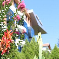 Medite Resort Spa Hotel Сандански развлечения