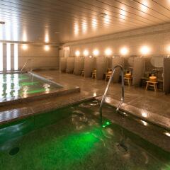 Отель SUPERHOTEL Premier GINZA Япония, Токио - отзывы, цены и фото номеров - забронировать отель SUPERHOTEL Premier GINZA онлайн бассейн