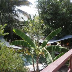 Esplanada in Dili, East Timor from 156$, photos, reviews - zenhotels.com balcony
