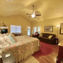 Comal Inn in New Braunfels, United States of America from 182$, photos, reviews - zenhotels.com guestroom photo 5
