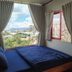Queen Bee Hostel Далат комната для гостей фото 3