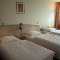 Panorama Inn Hotel und Boardinghaus комната для гостей фото 4